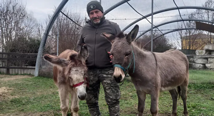 asinelli con il proprietario daniele campagnoli