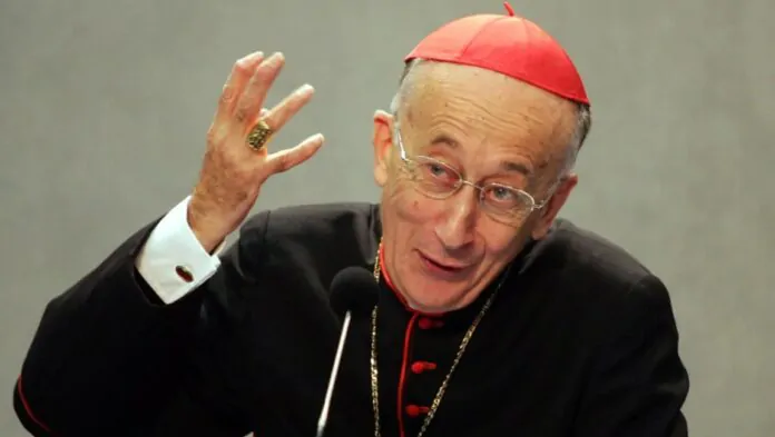 cardinal camillo ruini