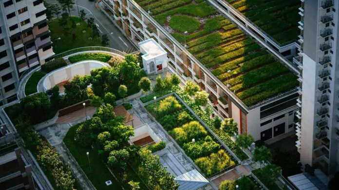 green building council, città immersa nel verde