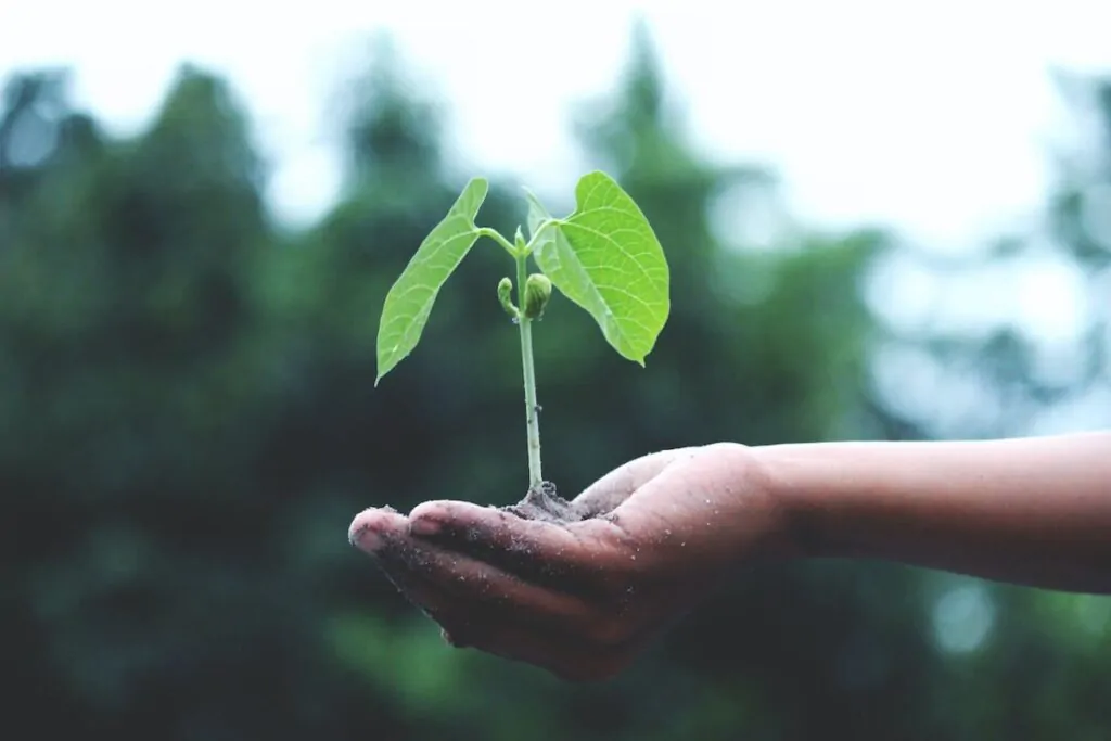 lavori nell'economia verde