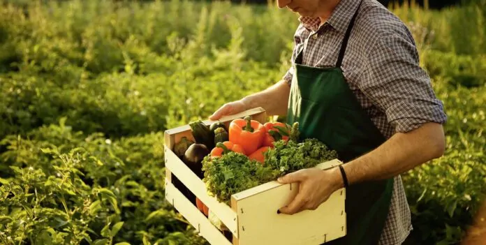 prodotti di agricoltura biologica