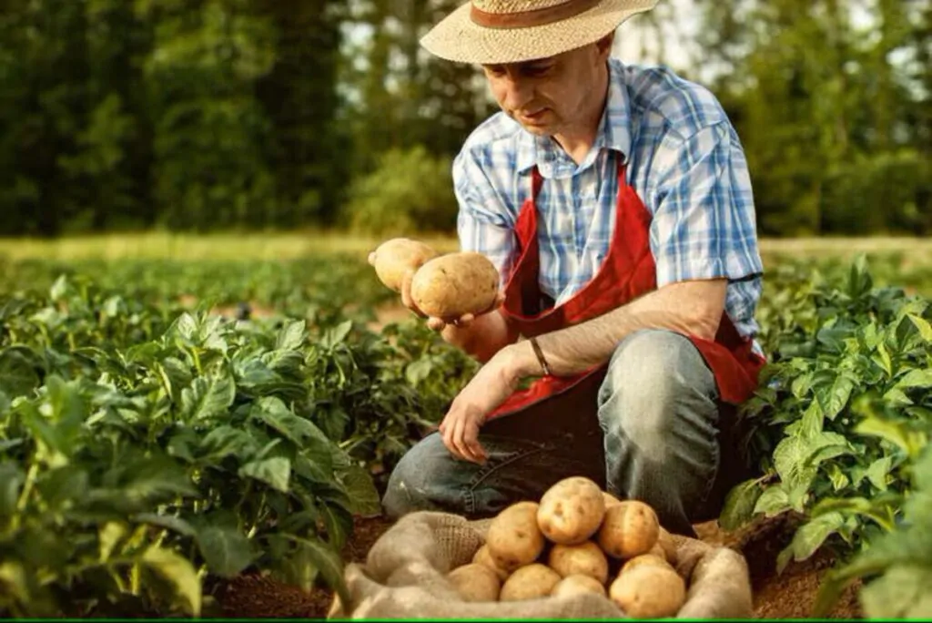 prodotti di agricoltura biologica_2