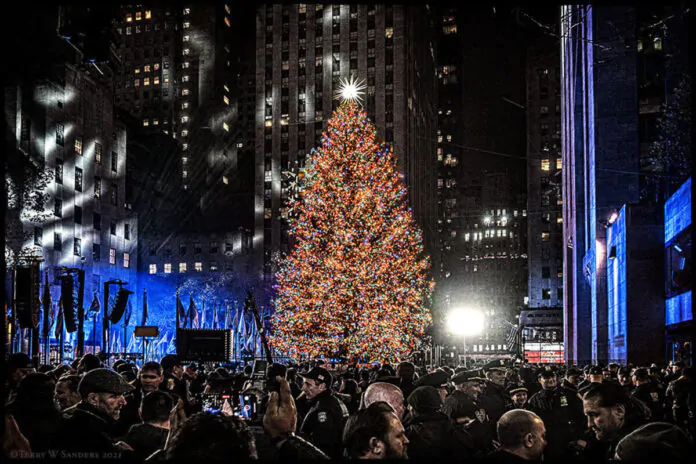 L'albero più bello del mondo